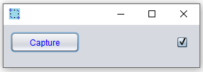 Step 5 - Description Option